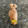 Picture of a potato shaped like a weaner and balls.