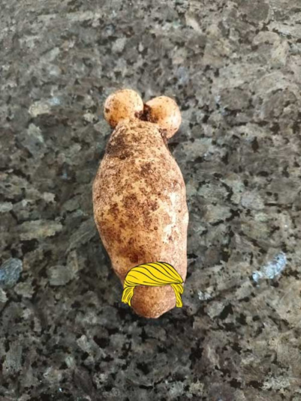 Picture of a potato shaped like a weaner and balls.