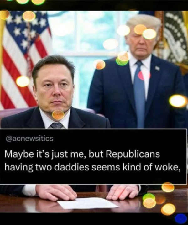Picture of Elon and Trump with caption Republicans having two daddies seems kind of woke
