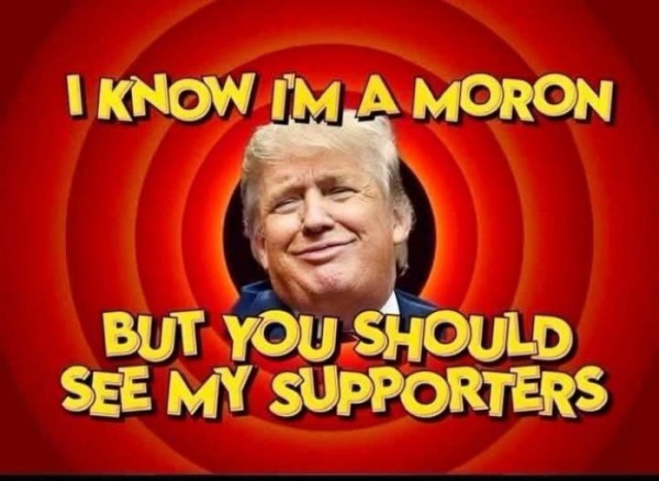 Loony Toons picture of trump saying, I know I'm a moron but, you should see my supporters